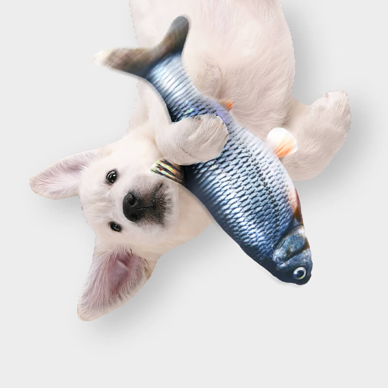 QIILU Jouet de poisson flottant Squeak Jouet de chien Jouet de poisson Jouet  de poisson rouge bleu en mouvement Parfait pour mordre, mâcher et donner  des coups de pied pour les chats