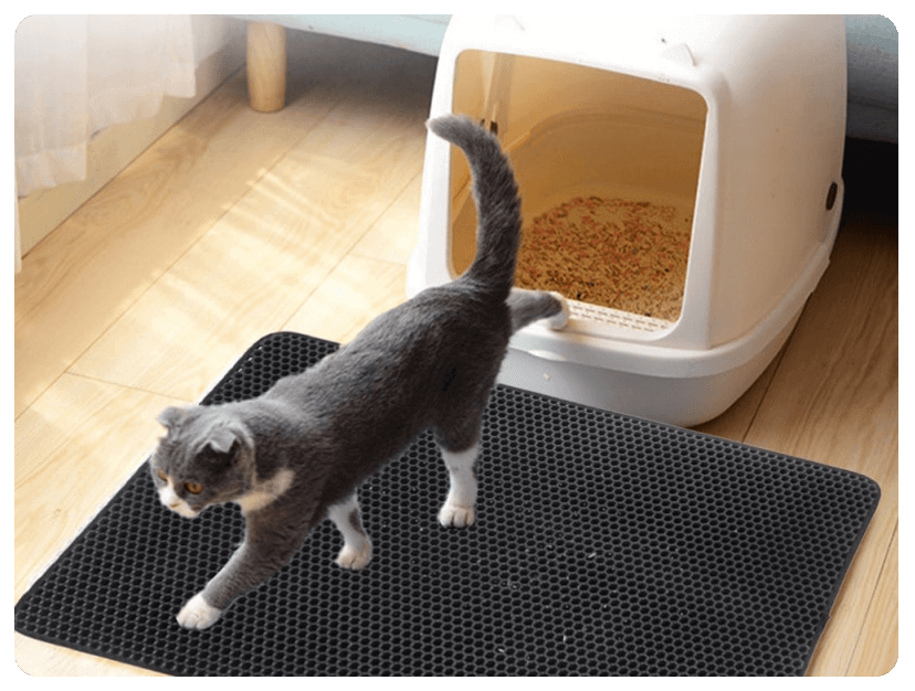 WATERPROOF CAT LITTER MAT – Pawpurmart