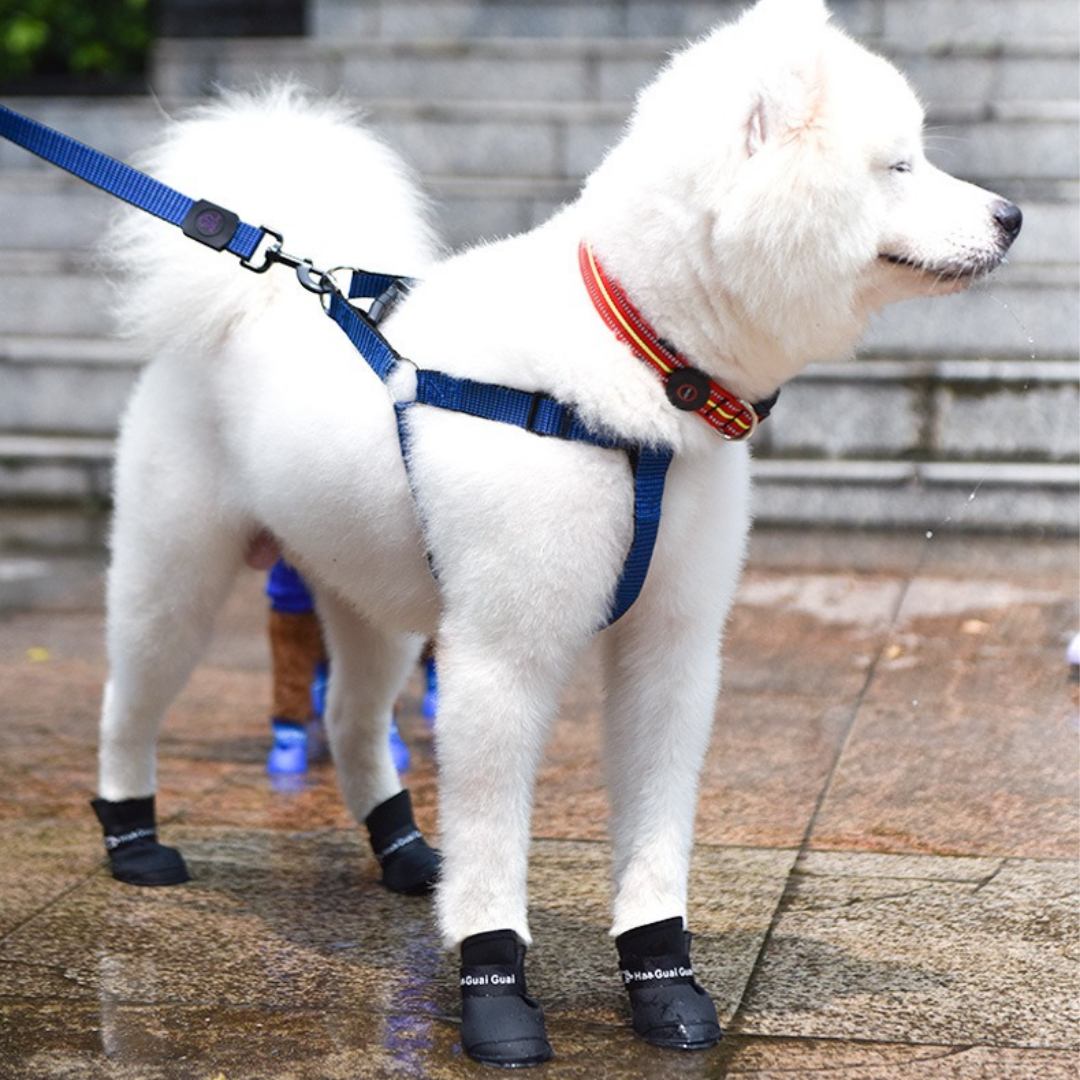 Dog Waterproof Silicone Rain Boots - Pawoui